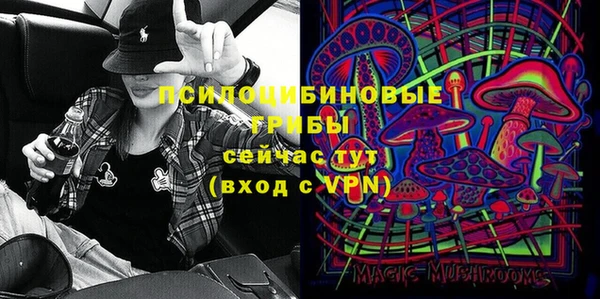 прущие грибы Алзамай