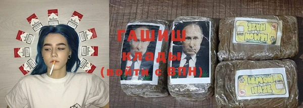 прущие грибы Алзамай