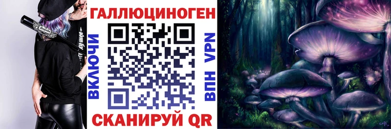 omg зеркало  Дно  Псилоцибиновые грибы мухоморы 